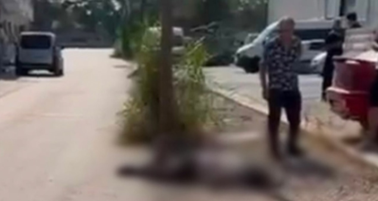 haber-gorseli-1786453851830